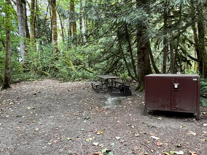 Moderately shaded campground containing a campfire ring, picnic table, and bear box.View of campsite.
