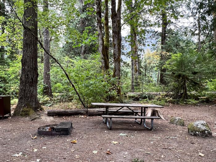 Shaded campsite containing a picnic table, campfire ring, and bear box.View of campsite.