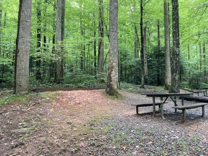 A photo of Site B05 of Loop B-Loop at COSBY CAMPGROUND with Picnic Table, Tent PadB05