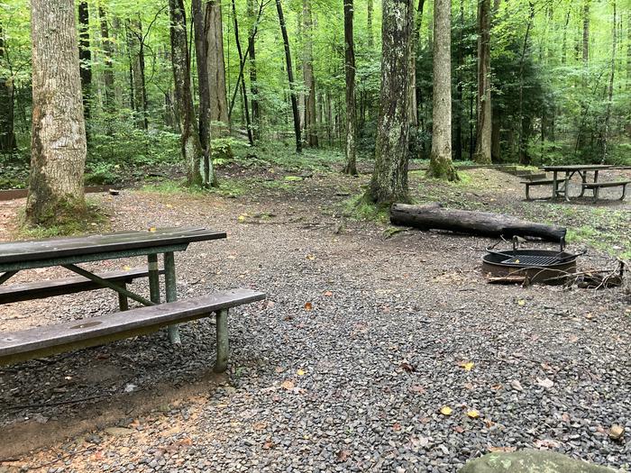 A photo of Site B05 of Loop B-Loop at COSBY CAMPGROUND with Picnic Table, Fire PitPicnic area
