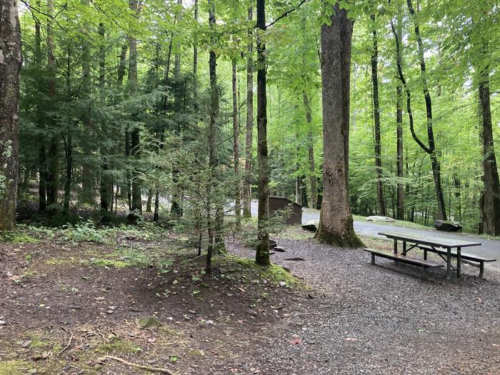 A photo of Site B11 of Loop B-Loop at COSBY CAMPGROUND with Picnic TableB11