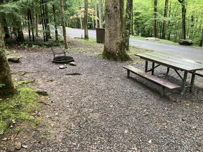 A photo of Site B11 of Loop B-Loop at COSBY CAMPGROUND with Picnic Table, Fire PitPicnic area