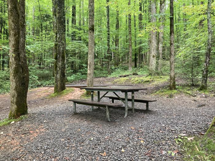 A photo of Site B11 of Loop B-Loop at COSBY CAMPGROUND B11B11 Picnic Table