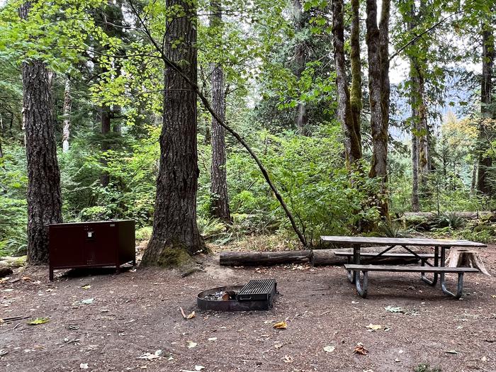 Preview photo of Goodell Creek Campground