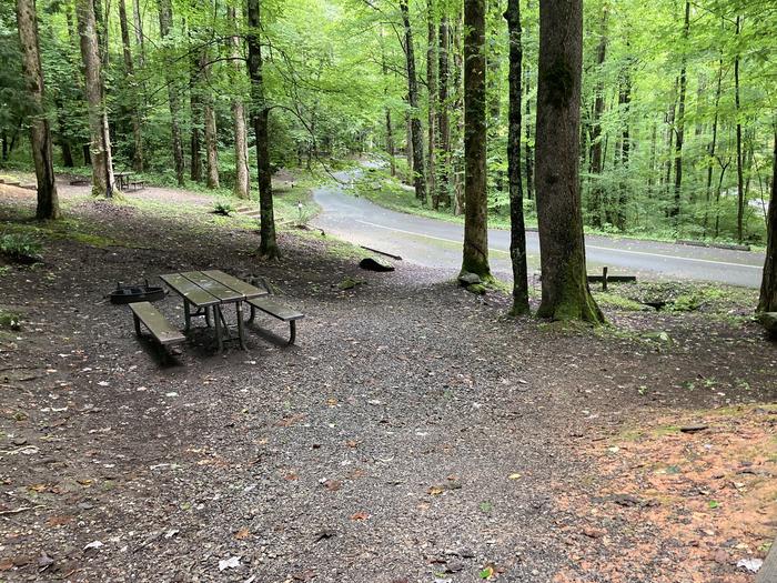 A photo of Site B08 of Loop B-Loop at COSBY CAMPGROUND with Picnic Table, Fire Pit, Tent PadView from tent pad