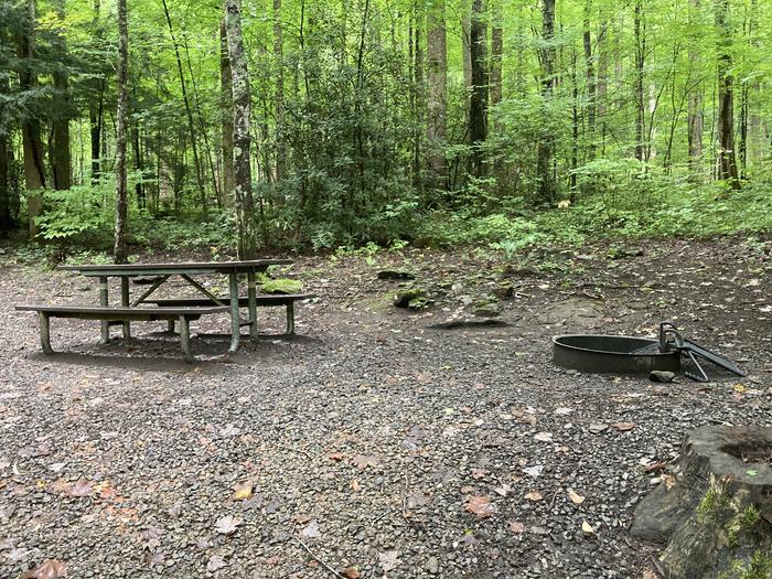A photo of Site B08 of Loop B-Loop at COSBY CAMPGROUND with Picnic Table, Fire PitPicnic area