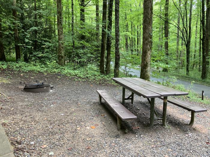 A photo of Site B09 of Loop B-Loop at COSBY CAMPGROUND with Picnic Table, Fire PitPicnic area