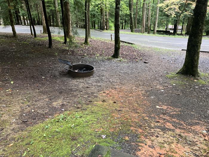 A photo of Site B14 of Loop B-Loop at COSBY CAMPGROUND with Fire PitFire Pit