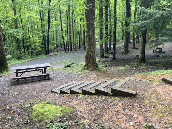 A photo of Site B09 of Loop B-Loop at COSBY CAMPGROUND with Picnic TablePicnic Table and Stairs