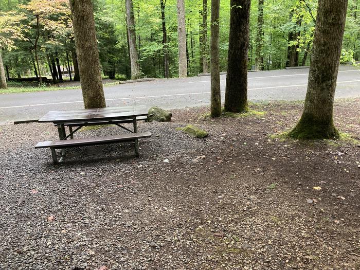 A photo of Site B14 of Loop B-Loop at COSBY CAMPGROUND with Picnic TablePicnic Table