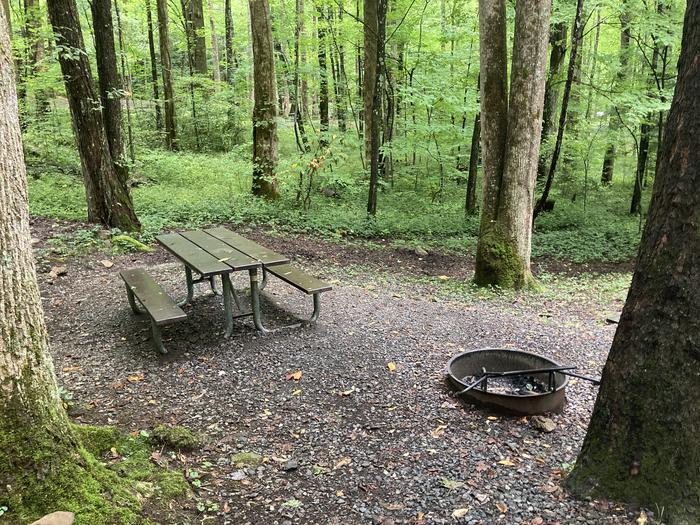 A photo of Site B06 of Loop B-Loop at COSBY CAMPGROUND with Picnic Table, Fire PitPicnic area