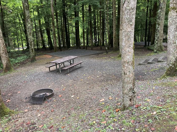 A photo of Site B19 of Loop B-Loop at COSBY CAMPGROUND with Picnic Table, Fire Pit, Tent PadB19