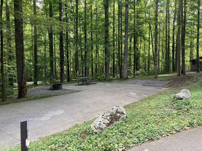A photo of Site A61 of Loop A-Loop at COSBY CAMPGROUND with Picnic Table, Fire Pit, Tent Pad street view Street view