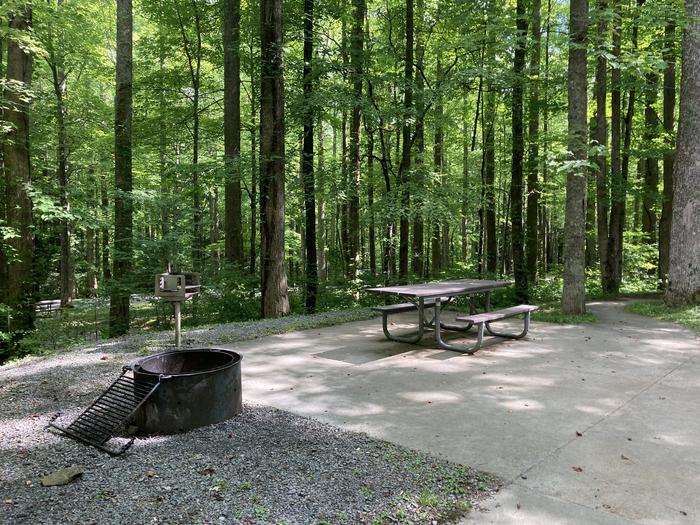 A photo of Site A61 of Loop A-Loop at COSBY CAMPGROUND with Picnic Table, Fire PitPicnic area