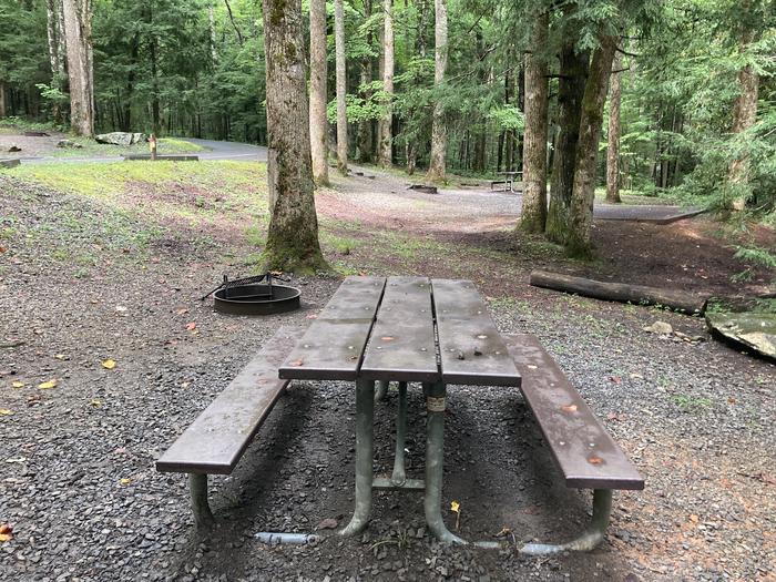 A photo of Site B19 of Loop B-Loop at COSBY CAMPGROUND with Picnic Table, Fire PitPicnic area