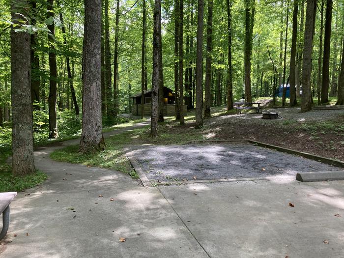 A photo of Site A61 of Loop A-Loop at COSBY CAMPGROUND with Tent PadTent pad with the paved walkway to restroom 