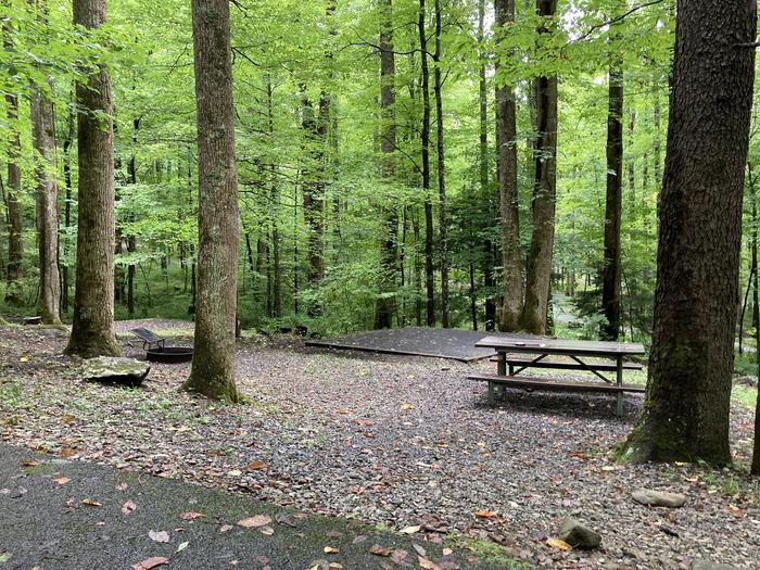 A photo of Site B04 of Loop B-Loop at COSBY CAMPGROUND with Picnic Table, Fire Pit, Tent PadB04