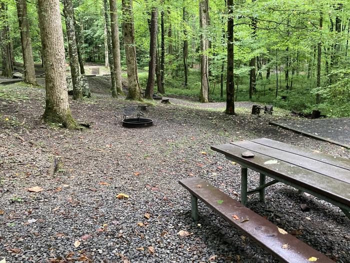 A photo of Site B04 of Loop B-Loop at COSBY CAMPGROUND with Picnic Table, Fire PitPicnic area