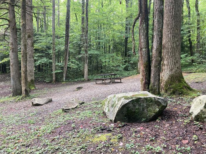 A photo of Site B20 of Loop B-Loop at COSBY CAMPGROUND side view