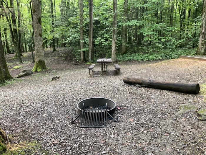 A photo of Site B20 of Loop B-Loop at COSBY CAMPGROUND with Picnic Table, Fire PitPicnic area