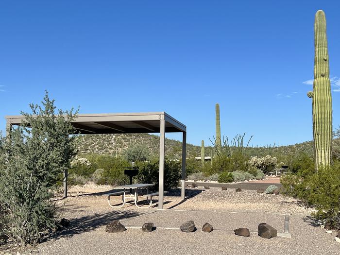 Pull-in parking tent camping site with sunshade, picnic table and grill. Surrounded by cactus and desert vegetation. Pictured is a tent that will not be at the site