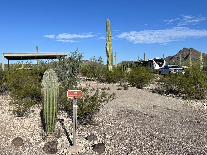 A picnic table sits near a grill and desert vegetation with a shade shelter.Each campsite is marked by a placard to easily identify which site it is.