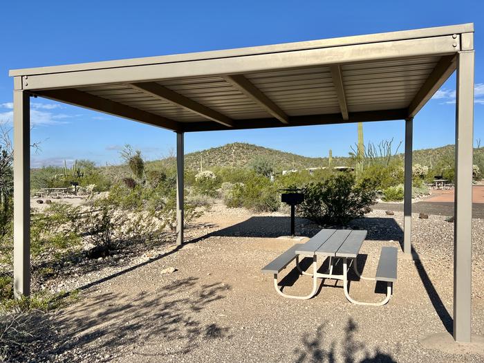 A picnic table sits near a grill and desert vegetation under a shade shelter.Each site has a picnic table and grill.