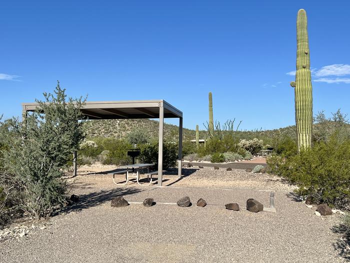 The large square tent pad of the site with the shade shelter, picnic table and grill nearby.Each site has tent pad, picnic table and grill and is surrounded by cacti and other desert plants.