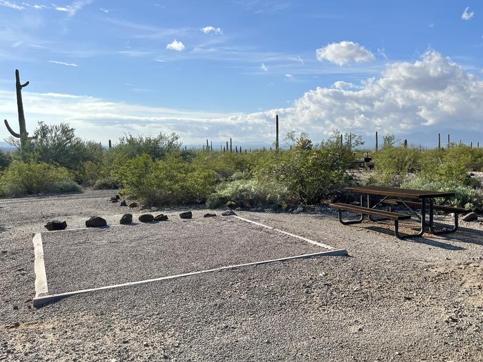 Pull-in parking tent camping site with picnic table and grill. Surrounded by cactus and desert vegetation.