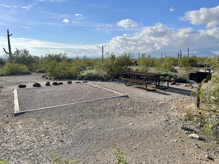 The large square tent pad of the site with the picnic table and grill.Each site has a picnic table and grill and is surrounded by cacti and other desert plants.