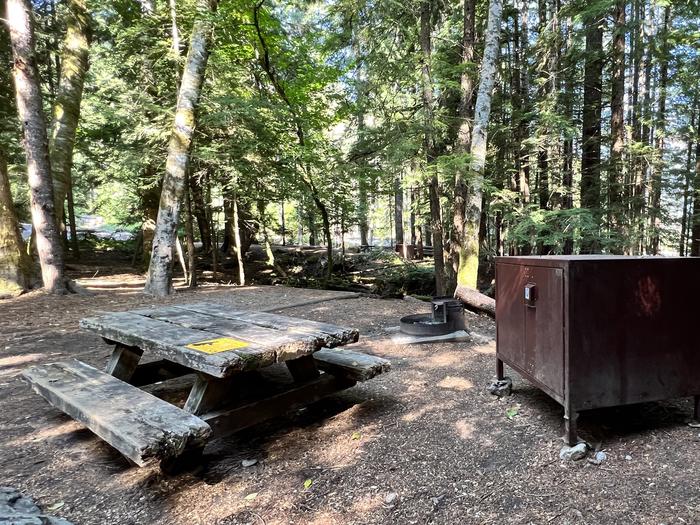 Tent pad, picnic table, fire grate and bear box at campsite. Campsite  