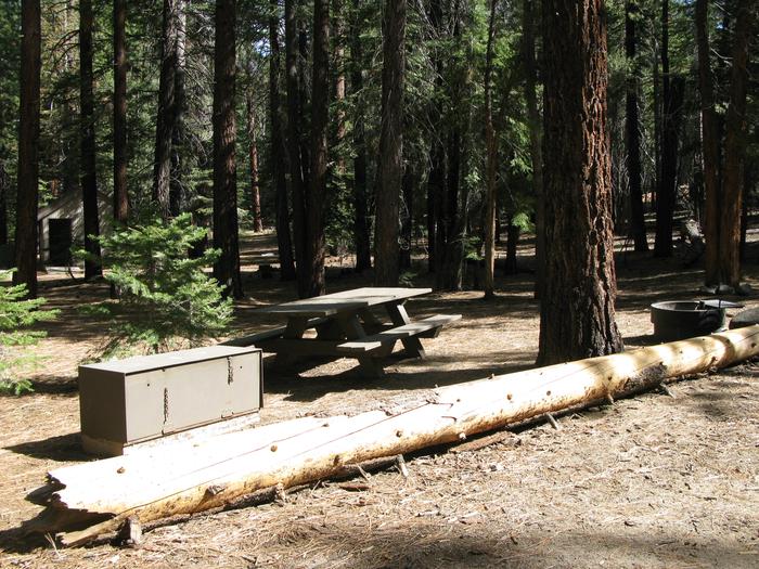 Mono Creek CampgroundPicnic table, bear bin, fire pit