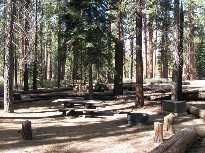 Mono Creek CampgroundPicnic table, fire ring, bear bin