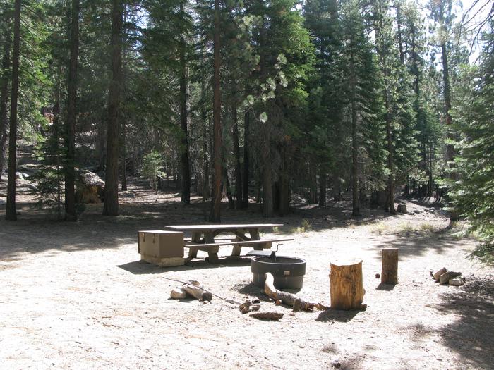 Mono Creek CampgroundPicnic table, fire pit, bear bin