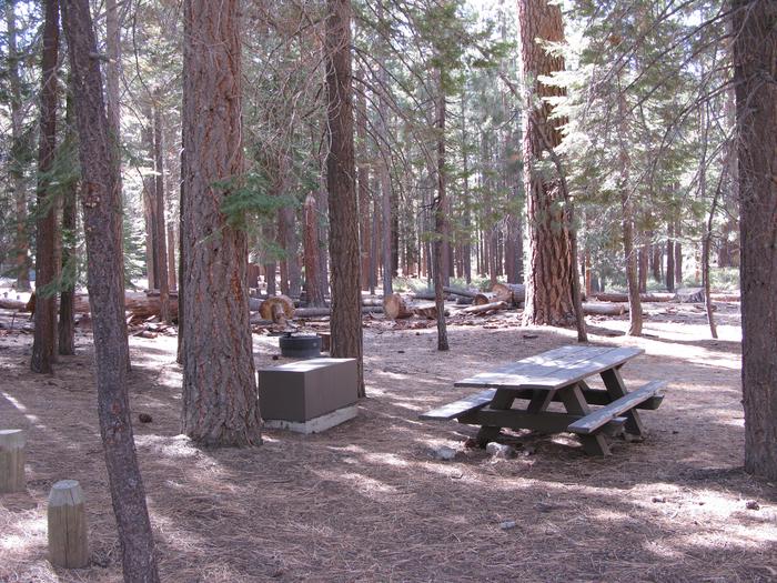 Mono Creek CampgroundPicnic table, bear bin