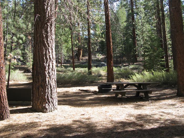 Mono Creek CampgroundPicnic table, fire pit