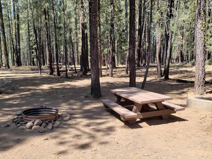 This site has a balance of shade and sun with a table and fire ring.Boulder Creek 35