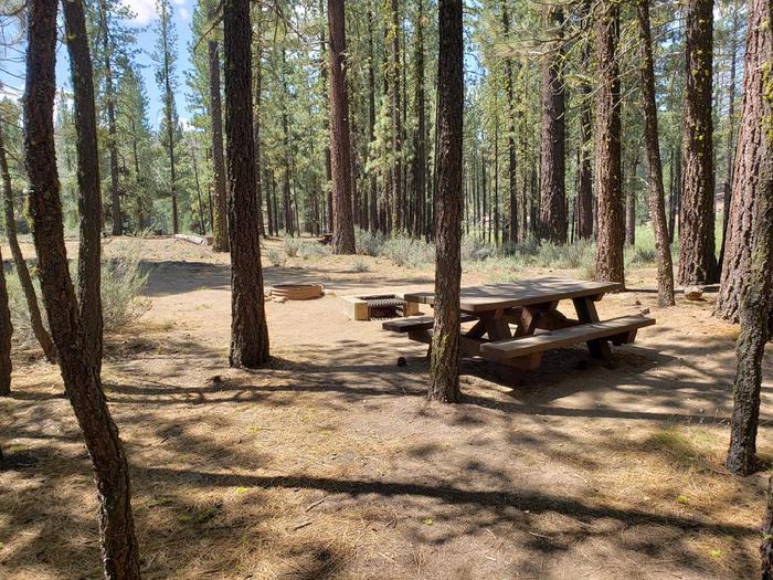 A well-lit site with table, fire ring, and trees. Boulder Creek 37