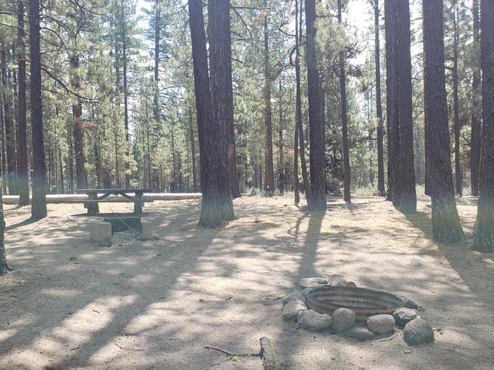 Pleasant shady site with fire ring and table. Boulder Creek 40