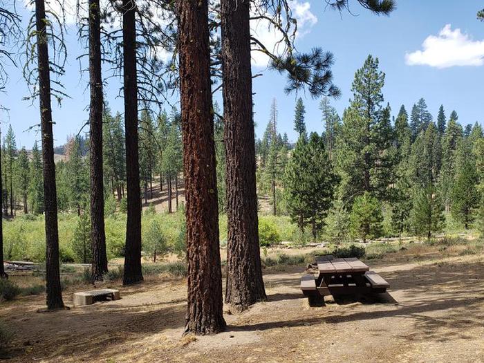 Quaint site with trees, shade, table and fire ring. Boulder Creek 41