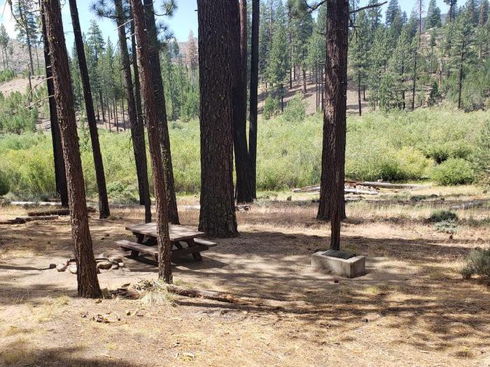 Well-sheltered site with table, fire ring, and trees.Boulder Creek 42