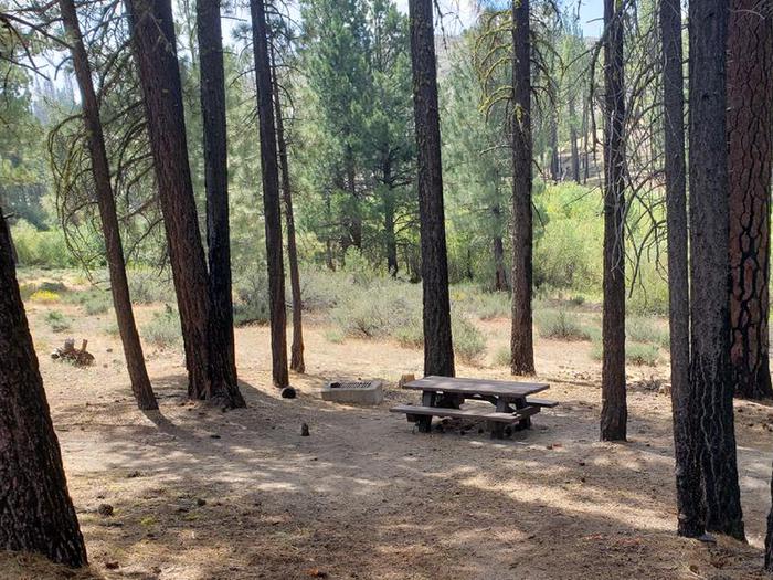 Secluded site well-shded by trees with a table and fire ringBoulder Creek Site 43