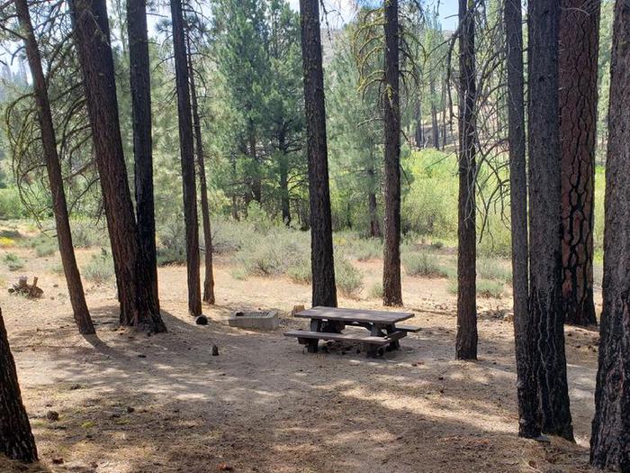 Shady site with a table, fire ring, inside a small grove of trees.Boulder Creek Site 45