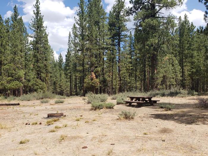 Exposed and sunny but expansive site with table and fire ring.Boulder Creek Site 46
