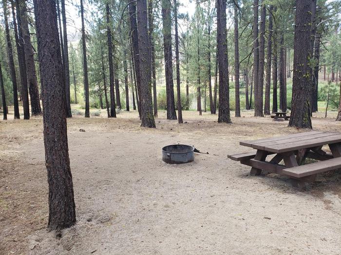 Spacious site with table and fire ring, grove of treesBoulder Creek Site 50