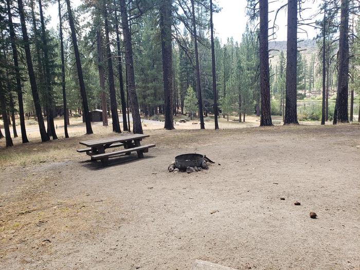 Spacious and exposed with with fire ring, table, and grove of trees.Boulder Creek Site 51