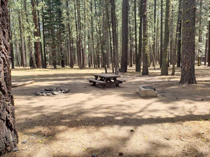 Spacious yet well-shaded site with table, fire ringBoulder Creek Site 53