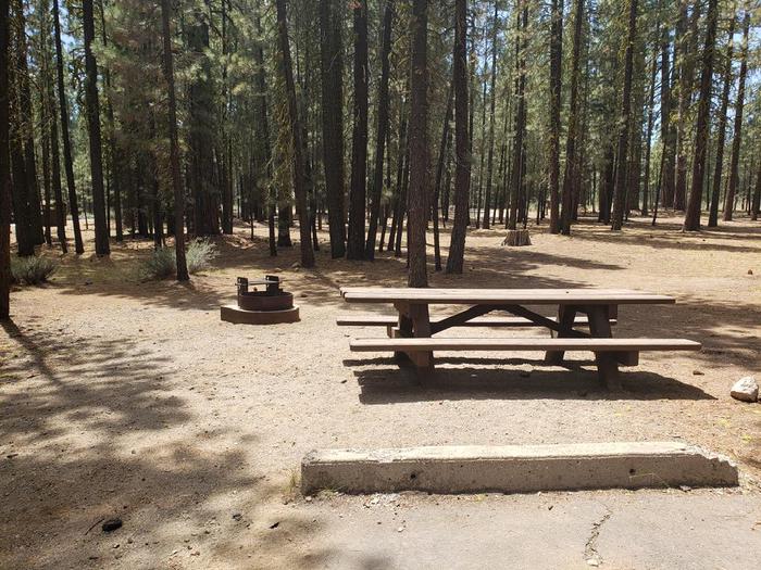 Spacious site with both shade and sun. fire ring and table.Boulder Creek Site 57