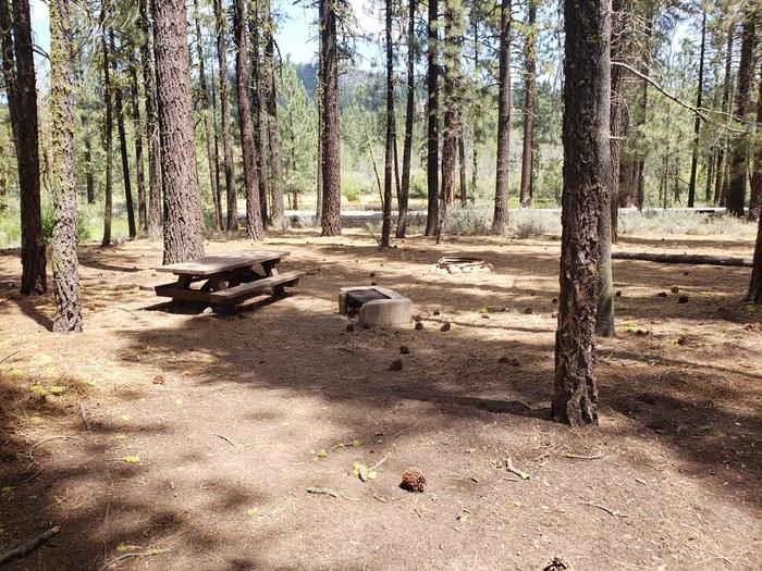 Shady site within a grove of trees. table and fire ring.Boulder Creek Site 58