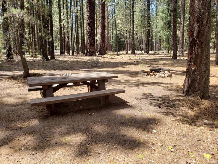 Well sheltered site with table, fire ring, and a grove of trees in the background.Boulder Creek Site 60